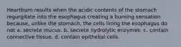 Heartburn results when the acidic contents of the stomach regurgitate into the esophagus creating a burning sensation because, unlike the stomach, the cells lining the esophagus do not a. secrete mucus. b. secrete hydrolytic enzymes. c. contain connective tissue. d. contain epithelial cells.