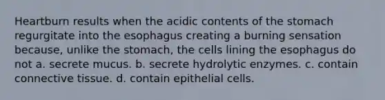 Heartburn results when the acidic contents of the stomach regurgitate into the esophagus creating a burning sensation because, unlike the stomach, the cells lining the esophagus do not a. secrete mucus. b. secrete hydrolytic enzymes. c. contain connective tissue. d. contain epithelial cells.