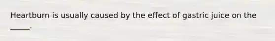 Heartburn is usually caused by the effect of gastric juice on the _____.