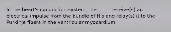 In the heart's conduction system, the _____ receive(s) an electrical impulse from the bundle of His and relay(s) it to the Purkinje fibers in the ventricular myocardium.