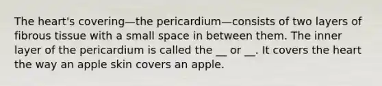 The heart's covering—the pericardium—consists of two layers of fibrous tissue with a small space in between them. The inner layer of the pericardium is called the __ or __. It covers the heart the way an apple skin covers an apple.