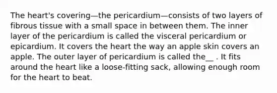 The heart's covering—the pericardium—consists of two layers of fibrous tissue with a small space in between them. The inner layer of the pericardium is called the visceral pericardium or epicardium. It covers the heart the way an apple skin covers an apple. The outer layer of pericardium is called the__ . It fits around the heart like a loose-fitting sack, allowing enough room for the heart to beat.