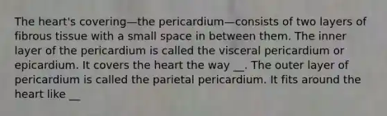 The heart's covering—the pericardium—consists of two layers of fibrous tissue with a small space in between them. The inner layer of the pericardium is called the visceral pericardium or epicardium. It covers the heart the way __. The outer layer of pericardium is called the parietal pericardium. It fits around the heart like __