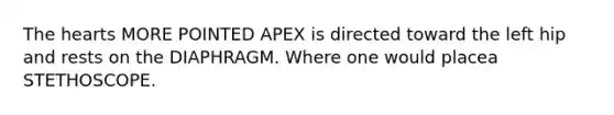 The hearts MORE POINTED APEX is directed toward the left hip and rests on the DIAPHRAGM. Where one would placea STETHOSCOPE.