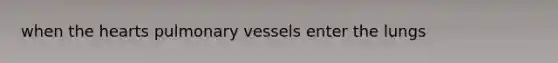 when the hearts pulmonary vessels enter the lungs