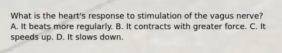 What is the heart's response to stimulation of the vagus nerve? A. It beats more regularly. B. It contracts with greater force. C. It speeds up. D. It slows down.