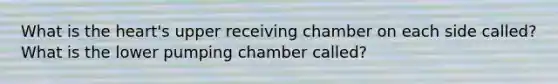 What is <a href='https://www.questionai.com/knowledge/kya8ocqc6o-the-heart' class='anchor-knowledge'>the heart</a>'s upper receiving chamber on each side called? What is the lower pumping chamber called?