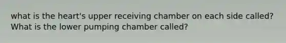 what is the heart's upper receiving chamber on each side called? What is the lower pumping chamber called?