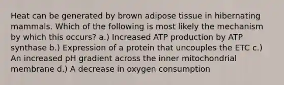 Heat can be generated by brown adipose tissue in hibernating mammals. Which of the following is most likely the mechanism by which this occurs? a.) Increased ATP production by ATP synthase b.) Expression of a protein that uncouples the ETC c.) An increased pH gradient across the inner mitochondrial membrane d.) A decrease in oxygen consumption