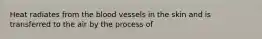 Heat radiates from the blood vessels in the skin and is transferred to the air by the process of