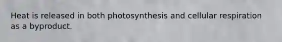 Heat is released in both photosynthesis and cellular respiration as a byproduct.