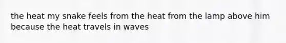 the heat my snake feels from the heat from the lamp above him because the heat travels in waves