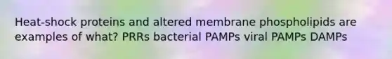 Heat-shock proteins and altered membrane phospholipids are examples of what? PRRs bacterial PAMPs viral PAMPs DAMPs