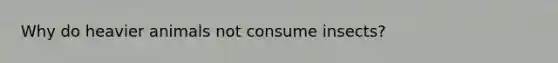 Why do heavier animals not consume insects?