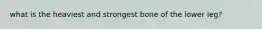 what is the heaviest and strongest bone of the lower leg?