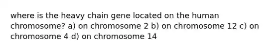 where is the heavy chain gene located on the human chromosome? a) on chromosome 2 b) on chromosome 12 c) on chromosome 4 d) on chromosome 14