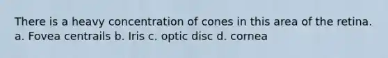There is a heavy concentration of cones in this area of the retina. a. Fovea centrails b. Iris c. optic disc d. cornea