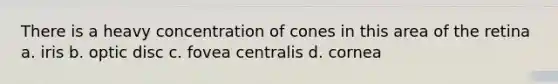 There is a heavy concentration of cones in this area of the retina a. iris b. optic disc c. fovea centralis d. cornea