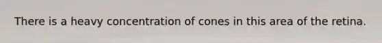There is a heavy concentration of cones in this area of the retina.