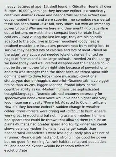 -heavy features of ape -1st skull found in Gibralter -found all over Europe -30,000 years ago they became extinct -extraordinary creatures -humans came and neandertals became extinct (we out competed them and were superior) -no complete neandertal fossil has been found -5'4" tall, very short, but with an immensly powerful build Why are we here and they arent? -Rib cage-flare out at bottom, no waist, short compact body to retain heat in cold env - lived during the last ice age, they are biologically adapted to the cold, live in broken woodland -body heat is retained-muscles are insulators-prevent heat from being lost -to survive they needed lots of calories and lots of meat -"lived on the edge" very active but needed lots of calories -hunted on edges of forests and killed large animals. -needed 2x the energy we need today -had well crafted weapons-but their spears could not be thrown -powerful on right side because of powerful grip-one arm was stronger than the other because thrust spear with dominant arm to drive force (more muscular) -traditional stereotype: dumb, thuggish, powerful *Neandertals have bigger brains than us-20% bigger. Identical frontal lobes. same cognitive ability as us. -Modern humans use sophisticated thought/language. -Neandertals had anatomy necessary for speech-hyoid bone -their voice would've been higher and very loud -huge nasal cavity *Powerful, Adapted to Cold, Intelligent How did they become extinct? -sudden change in weather-colder, dryer -forests were drying out -difficult to hunt -spears work great in woodland but not in grassland -modern humans had spears that could be thrown that allowed them to hunt on plains -humans had greater speed and agility. -inner ear canal-shows balance(modern humans have larger canals than neandertals) -Neandertals were less agile (body plan was not of a runner) -Neandertals had short, strong limbs-good for power but not good for running As their habitat collapsed-population fell and became extinct --could be random twists of evolution/fate