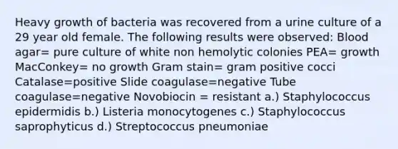 Heavy growth of bacteria was recovered from a urine culture of a 29 year old female. The following results were observed: Blood agar= pure culture of white non hemolytic colonies PEA= growth MacConkey= no growth Gram stain= gram positive cocci Catalase=positive Slide coagulase=negative Tube coagulase=negative Novobiocin = resistant a.) Staphylococcus epidermidis b.) Listeria monocytogenes c.) Staphylococcus saprophyticus d.) Streptococcus pneumoniae