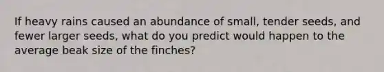 If heavy rains caused an abundance of small, tender seeds, and fewer larger seeds, what do you predict would happen to the average beak size of the finches?