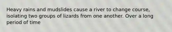 Heavy rains and mudslides cause a river to change course, isolating two groups of lizards from one another. Over a long period of time