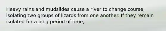 Heavy rains and mudslides cause a river to change course, isolating two groups of lizards from one another. If they remain isolated for a long period of time,