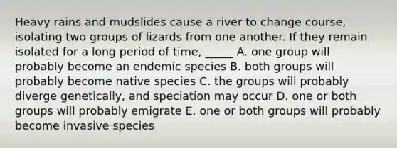 Heavy rains and mudslides cause a river to change course, isolating two groups of lizards from one another. If they remain isolated for a long period of time, _____ A. one group will probably become an endemic species B. both groups will probably become native species C. the groups will probably diverge genetically, and speciation may occur D. one or both groups will probably emigrate E. one or both groups will probably become invasive species