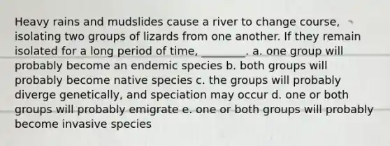 Heavy rains and mudslides cause a river to change course, isolating two groups of lizards from one another. If they remain isolated for a long period of time, ________. a. one group will probably become an endemic species b. both groups will probably become native species c. the groups will probably diverge genetically, and speciation may occur d. one or both groups will probably emigrate e. one or both groups will probably become invasive species