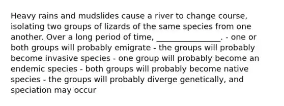 Heavy rains and mudslides cause a river to change course, isolating two groups of lizards of the same species from one another. Over a long period of time, ________________. - one or both groups will probably emigrate - the groups will probably become invasive species - one group will probably become an endemic species - both groups will probably become native species - the groups will probably diverge genetically, and speciation may occur