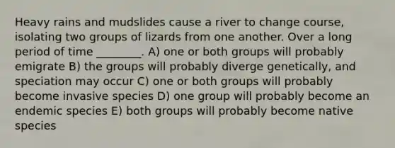 Heavy rains and mudslides cause a river to change course, isolating two groups of lizards from one another. Over a long period of time ________. A) one or both groups will probably emigrate B) the groups will probably diverge genetically, and speciation may occur C) one or both groups will probably become invasive species D) one group will probably become an endemic species E) both groups will probably become native species