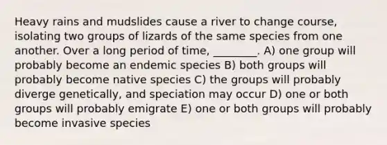 Heavy rains and mudslides cause a river to change course, isolating two groups of lizards of the same species from one another. Over a long period of time, ________. A) one group will probably become an endemic species B) both groups will probably become native species C) the groups will probably diverge genetically, and speciation may occur D) one or both groups will probably emigrate E) one or both groups will probably become invasive species