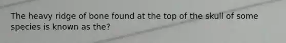 The heavy ridge of bone found at the top of the skull of some species is known as the?