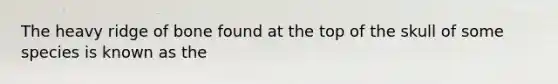The heavy ridge of bone found at the top of the skull of some species is known as the