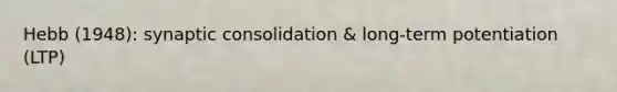 Hebb (1948): synaptic consolidation & long-term potentiation (LTP)