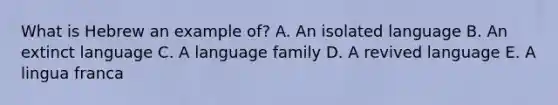 What is Hebrew an example of? A. An isolated language B. An extinct language C. A language family D. A revived language E. A lingua franca