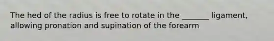 The hed of the radius is free to rotate in the _______ ligament, allowing pronation and supination of the forearm