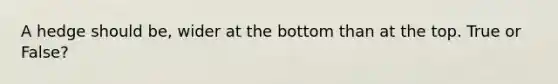 A hedge should be, wider at the bottom than at the top. True or False?