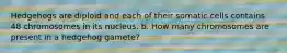Hedgehogs are diploid and each of their somatic cells contains 48 chromosomes in its nucleus. b. How many chromosomes are present in a hedgehog gamete?