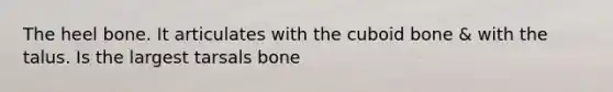 The heel bone. It articulates with the cuboid bone & with the talus. Is the largest tarsals bone