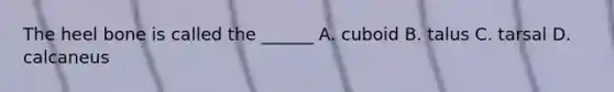 The heel bone is called the ______ A. cuboid B. talus C. tarsal D. calcaneus