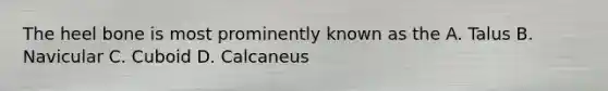 The heel bone is most prominently known as the A. Talus B. Navicular C. Cuboid D. Calcaneus