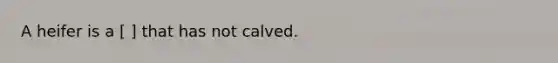 A heifer is a [ ] that has not calved.