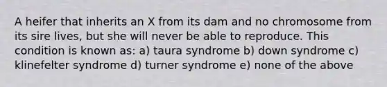 A heifer that inherits an X from its dam and no chromosome from its sire lives, but she will never be able to reproduce. This condition is known as: a) taura syndrome b) down syndrome c) klinefelter syndrome d) turner syndrome e) none of the above