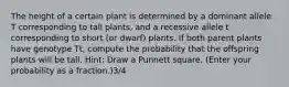 The height of a certain plant is determined by a dominant allele T corresponding to tall plants, and a recessive allele t corresponding to short (or dwarf) plants. If both parent plants have genotype Tt, compute the probability that the offspring plants will be tall. Hint: Draw a Punnett square. (Enter your probability as a fraction.)3/4