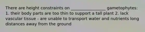 There are height constraints on _________________ gametophytes: 1. their body parts are too thin to support a tall plant 2. lack vascular tissue - are unable to transport water and nutrients long distances away from the ground