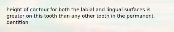 height of contour for both the labial and lingual surfaces is greater on this tooth than any other tooth in the permanent dentition