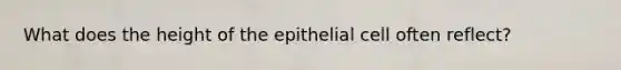 What does the height of the epithelial cell often reflect?