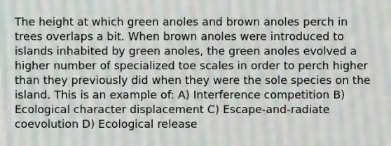 The height at which green anoles and brown anoles perch in trees overlaps a bit. When brown anoles were introduced to islands inhabited by green anoles, the green anoles evolved a higher number of specialized toe scales in order to perch higher than they previously did when they were the sole species on the island. This is an example of: A) Interference competition B) Ecological character displacement C) Escape-and-radiate coevolution D) Ecological release